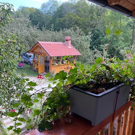Casa Armonia Bran (Brasov)